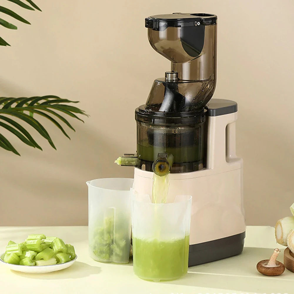 Houselin 7" Cold Press Juicer — Masticating Juicer Machine for Fruits & Vegetables