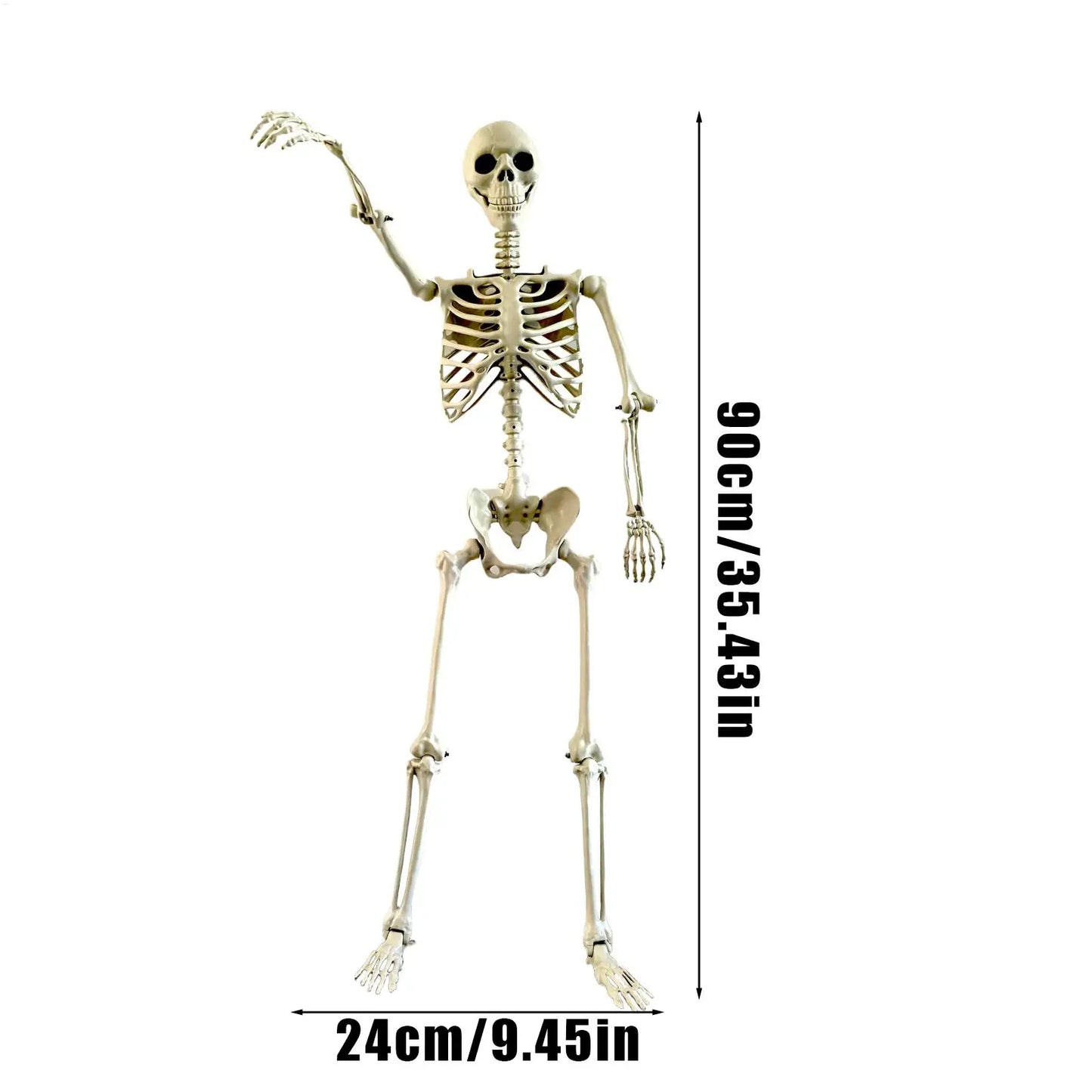 Halloween Life Size Human Skeleton Decoration — Realistic Body Bones with Posable Joints for Haunted House Horror Props