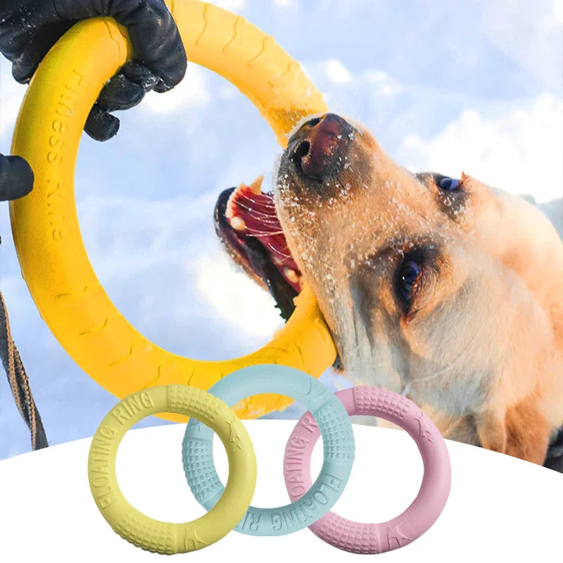 Dog Toy Training Ring Puller and Flying Disk – Interactive Chewing Toys for Puppies | Outdoor Game Supplies