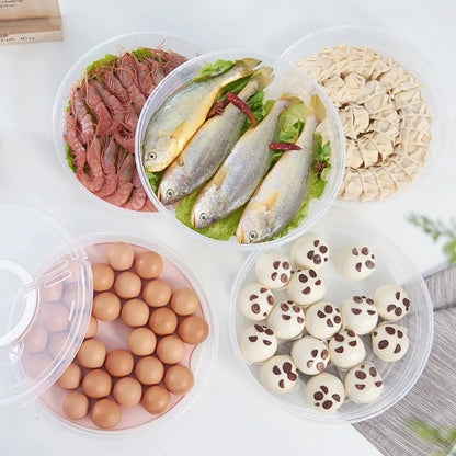 Handheld Dumpling Storage Box - Transparent Food Preservation Tray for Refrigerator & Freezer