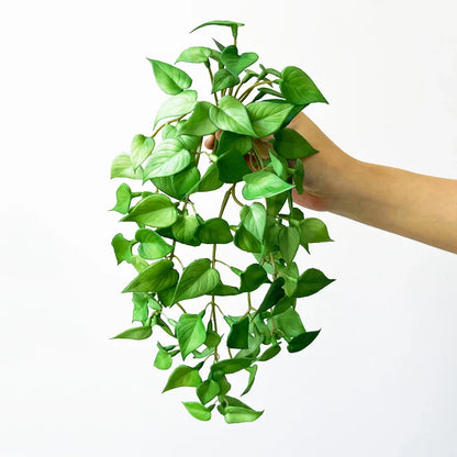 Artificial Mini Copper Coin Grass Bouquet - Soft Glue Fake Plant for Wall Hanging, Home, Office & Garden Decor