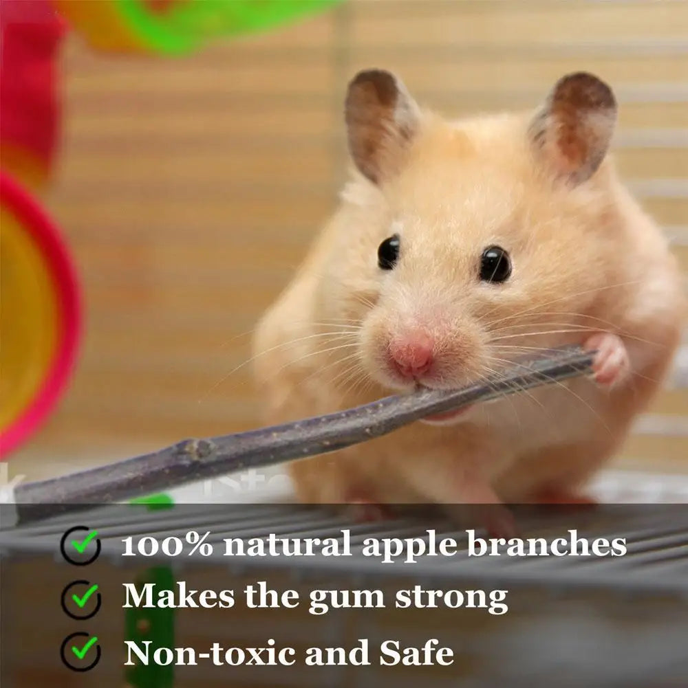 100% Natural Apple Branch Rabbit Chew Sticks – Wooden Teeth Cleaning Toys for Rabbits, Hamsters, Guinea Pigs & Small Pets, Natural Molars Care Chew Treats