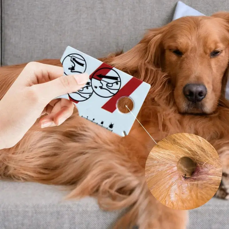 Tick Card with Magnifying Glass | Easy Tick Removal Tool for Dogs & Cats | Pocket Size 8.5 x 5.4 x 0 | Pet Tick Remover