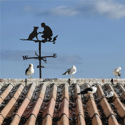 Stainless Steel Rooster Weathervane - Yard, Garden, Barn Ornament for Roofs, Collies Shed Kit Weather Vanes