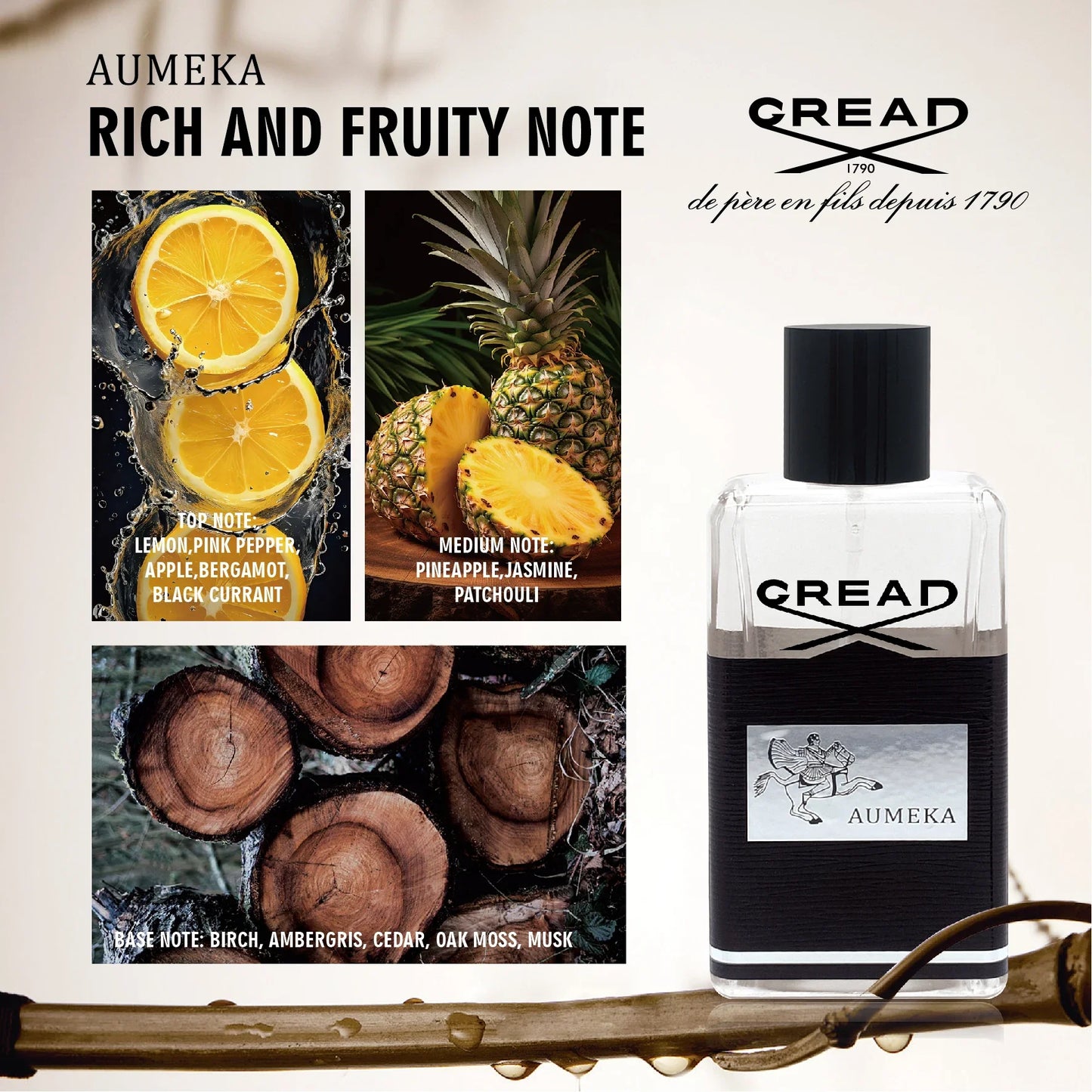 AUMEKA Perfume for Men — Original Luxury Arabes Fruity Eau de Toilette 65ml, Ideal Gift for Him