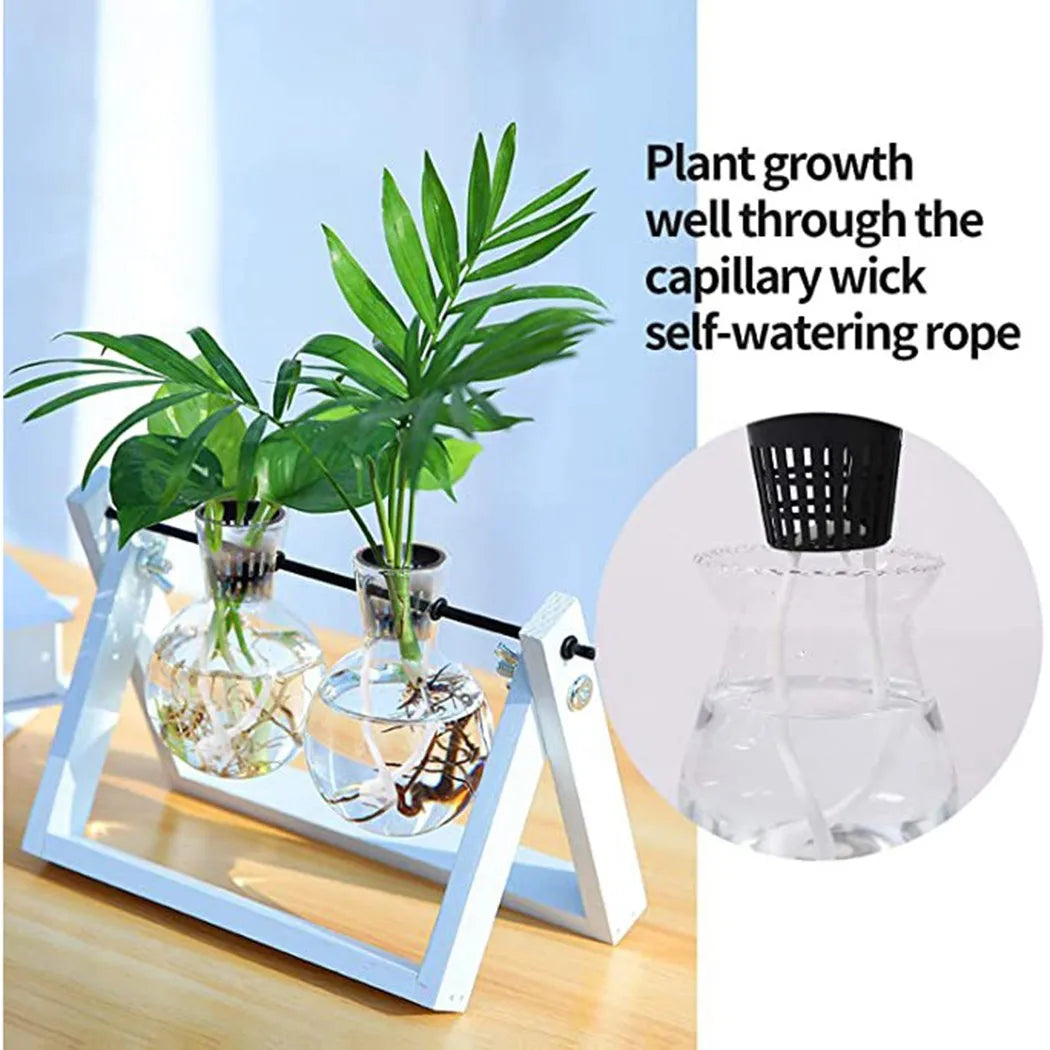 25PCS Hydroponic Mesh Net Pots – Soilless Plant Nursery Cups for Vegetable & Garden Growing