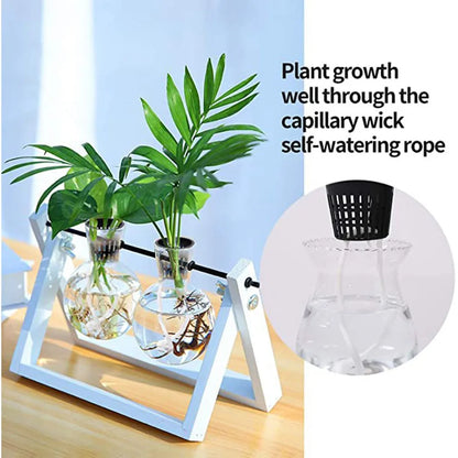 25PCS Hydroponic Mesh Net Pots – Soilless Plant Nursery Cups for Vegetable & Garden Growing
