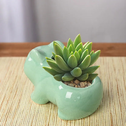 Creative Ceramic Mini Flowerpot – Succulent Planter with Drainage Hole for Home & Garden Decor