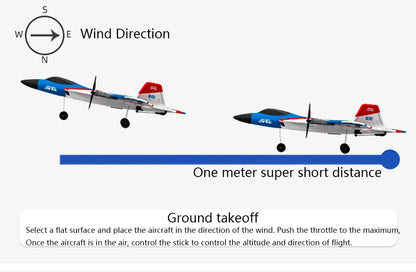 RC F22 Stunt Plane — 2.4G Remote Control 3D Glider Airplane EPP Foam Toy for Kids