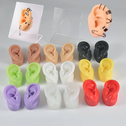 Soft Silicone Ear Model Display Stand – Tattoo Practice & Body Piercing Jewelry Holder with Acrylic Earring Display Kit for Training & Showcase