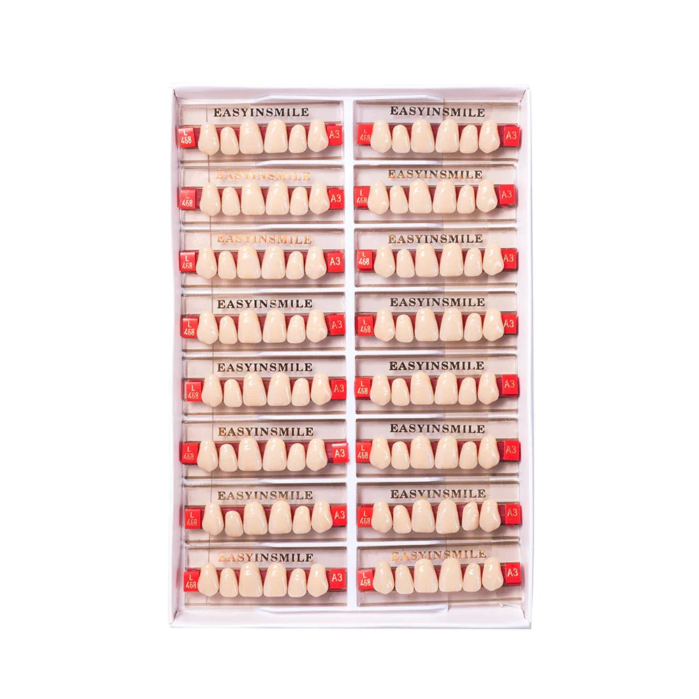 16/12 Set Dental Denture Teeth Model Kit, Upper & Lower Anterior Synthetic Polymer Teeth A2 A3 for Dental Education & Training