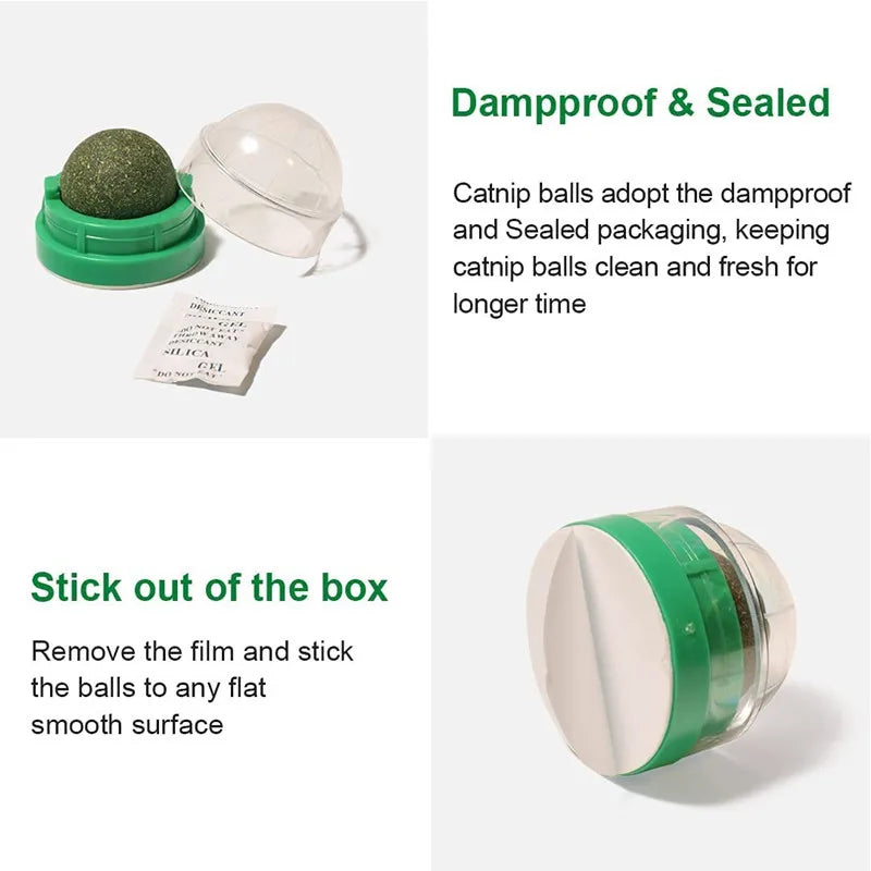 Catnip Wall Stick-on Ball Toy | Natural Scratcher Treats for Cats | Promotes Digestion & Healthy Play | Cat Grass Snack