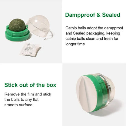 Catnip Wall Stick-on Ball Toy | Natural Scratcher Treats for Cats | Promotes Digestion & Healthy Play | Cat Grass Snack