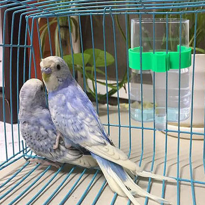Automatic Bird Water Dispenser - Transparent Cage Drinking Feeder for Budgies, Cockatiels, Lovebirds & Canaries