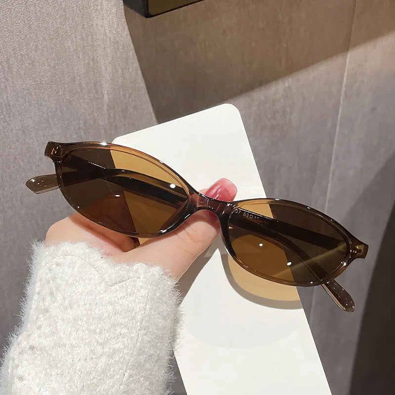 2024 Women’s Leopard Brown Sunglasses — Fashion Brand Small Frame Retro Oval Sun Glasses, Ladies Eyewear Shade