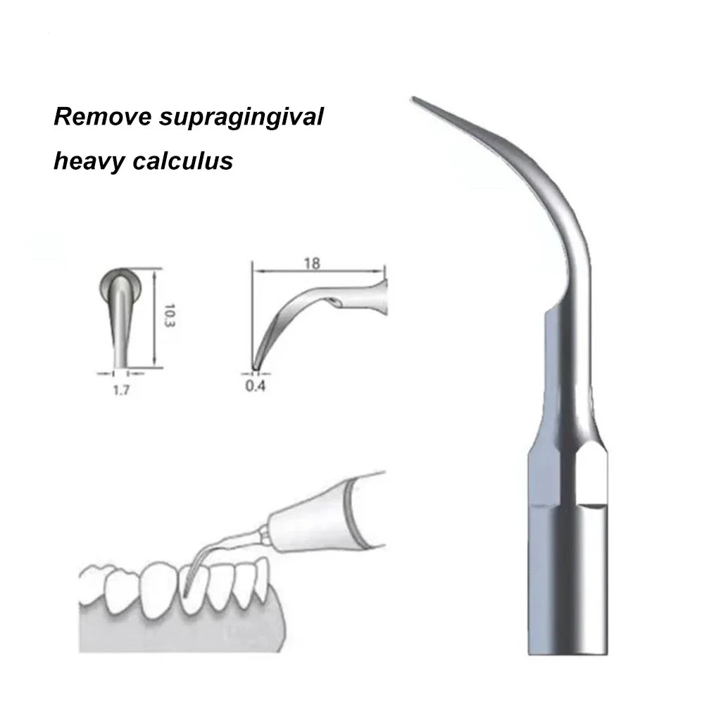 5PCS Dental Scaler Tips for EMS Woodpecker Ultrasonic Scaler Handpiece – Scaling Tips
