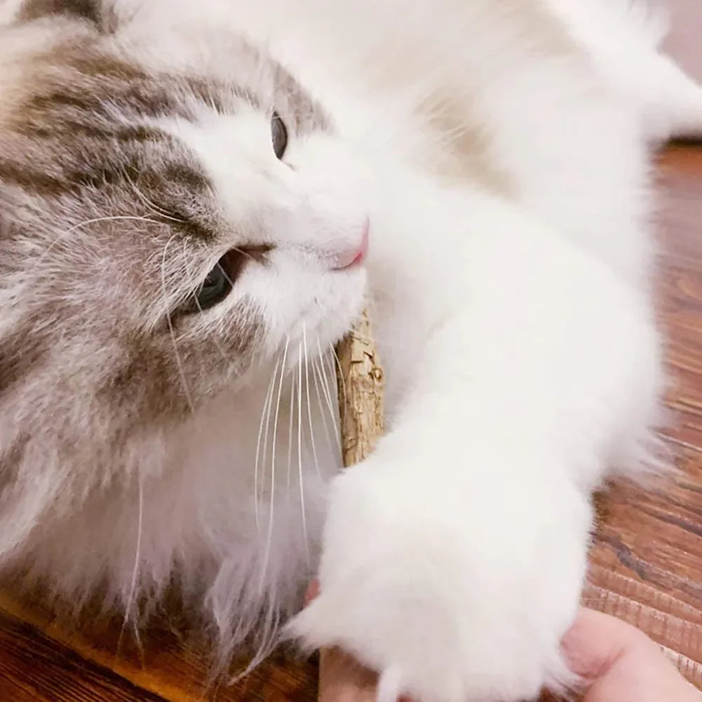 15Pcs Natural Matatabi Catnip Chew Sticks for Cats & Kittens – Silvervine Teeth Cleaning Molar Toy Pet Treat Set