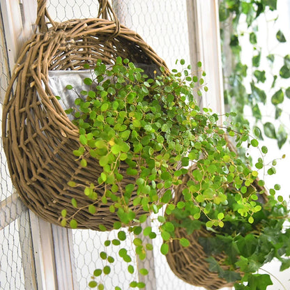 Wall Mount Rattan Flower Basket - Woven Hanging Planter Vase for Garden, Balcony & Home Decor
