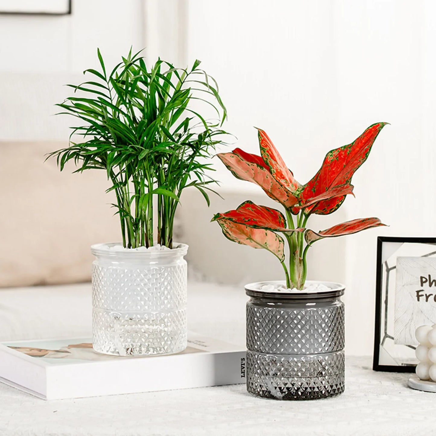 Modern Self-Watering Mini Round Flower Pot - Perfect for Succulents, Indoor Plants, and Effortless Gardening Decor