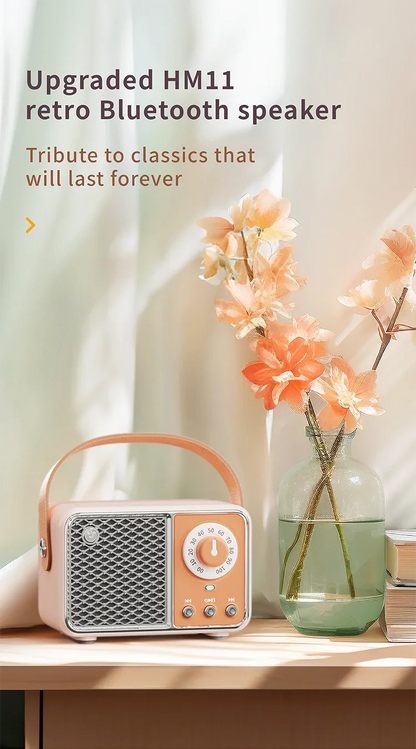 Wireless Portable Bluetooth Speaker — Mini Subwoofer Music Box with Hands-Free Function