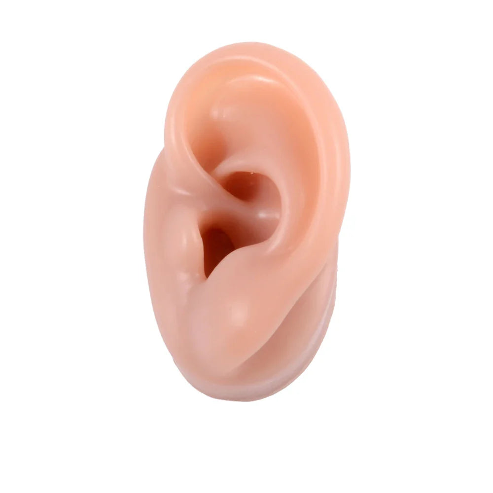 Soft Silicone Ear Model Display Stand – Tattoo Practice & Body Piercing Jewelry Holder with Acrylic Earring Display Kit for Training & Showcase