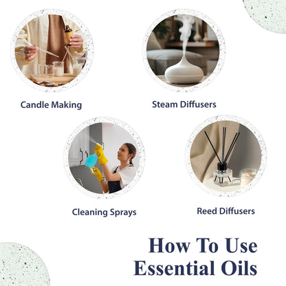 PHATOIL 100ml Aromatherapy Essential Oil Set – Lavender, Rose, Vanilla, Eucalyptus, Sandalwood & Pine Needles for Diffusers & Candle Making