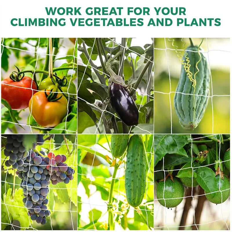 Heavy-Duty Polyester Plant Trellis Netting - Multi-Use Support for Vine Climbing, Hydroponics, Garden Accessories