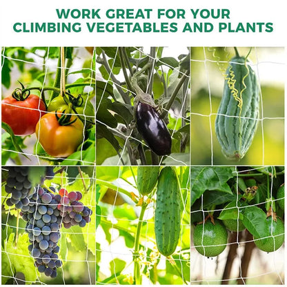 Heavy-Duty Polyester Plant Trellis Netting - Multi-Use Support for Vine Climbing, Hydroponics, Garden Accessories