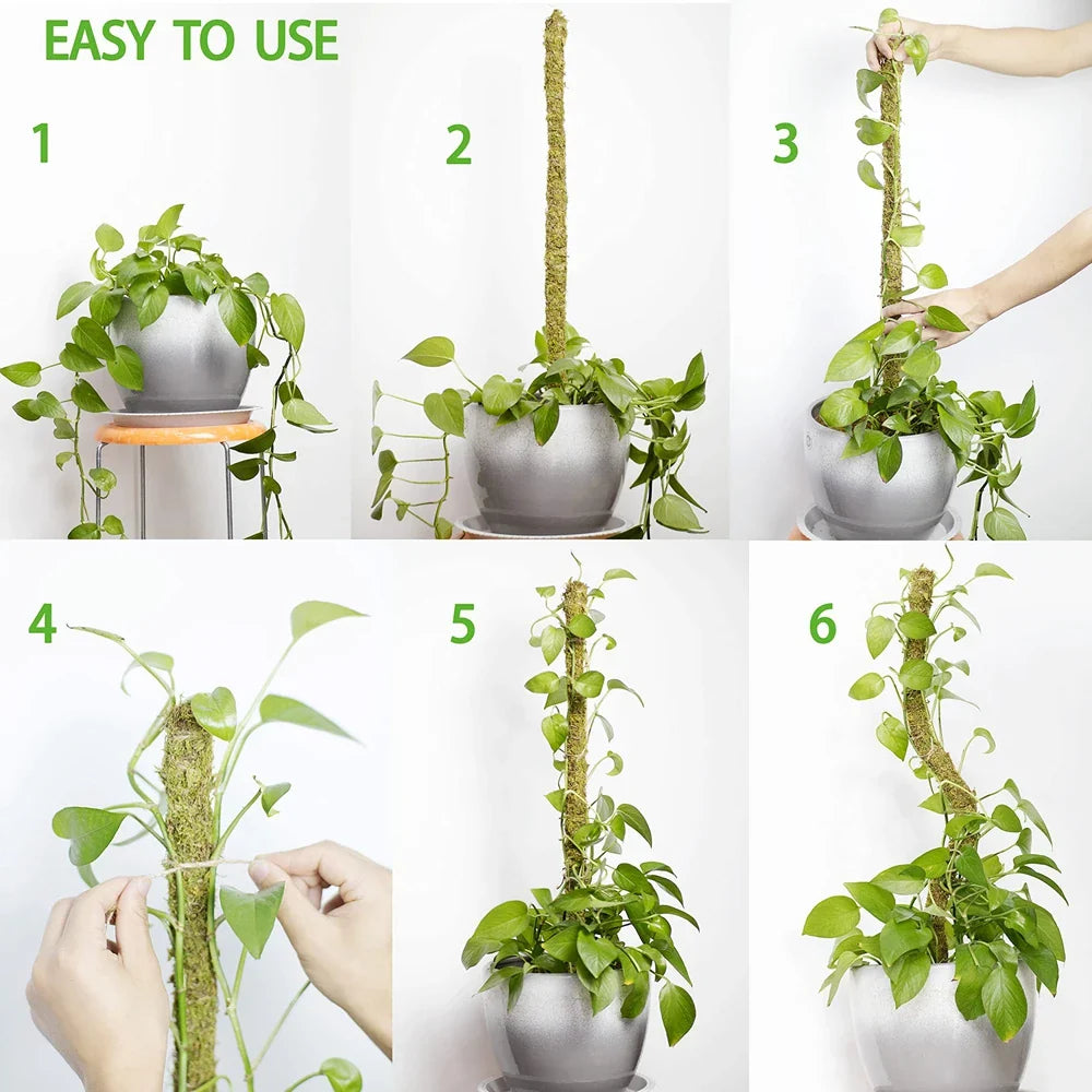 1PC Handmade Bendable Moss Pole for Monstera and Indoor Plants - Real Moss Plant Stakes for Climbing Support