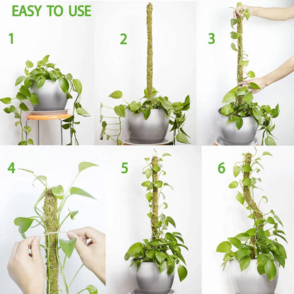 1PC Handmade Bendable Moss Pole for Monstera and Indoor Plants - Real Moss Plant Stakes for Climbing Support