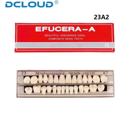 28-Teeth Dental Acrylic Resin Denture Set – Upper & Lower False Teeth Model (A2/A3, Shade 22# & 23#) for Dental Education & Research