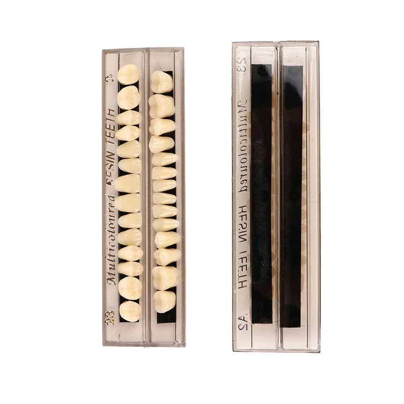 28-Teeth Resin Denture Comparator – Dental Mirror & Bleaching Plate for Dentistry Education & Research