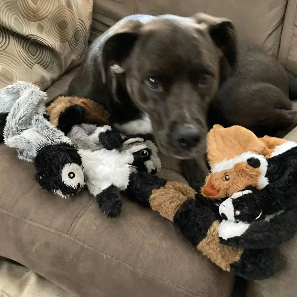 5-Pack Stuffingless Dog Toys – Funny Animal Plush Chew Toys with Squeakers & Crinkle for Dogs