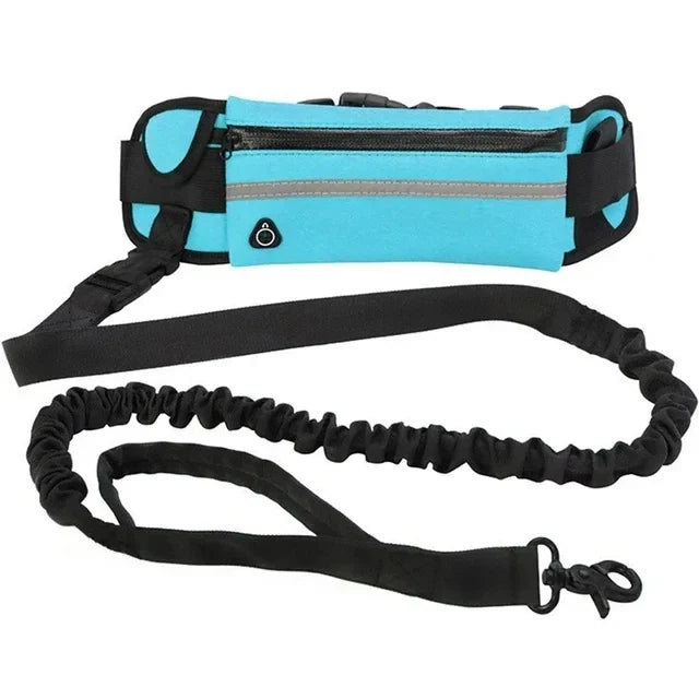 Reflective Hands-Free Dog Running Waist Leash Nylon Elastic Adjustable Pet Traction Belt with Waist Bag Retractable Control for Running & Walking