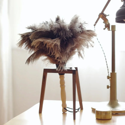 Ostrich Feather Dusting Brush – Wooden Handle Anti-Static Household & Car Cleaning Duster Tool