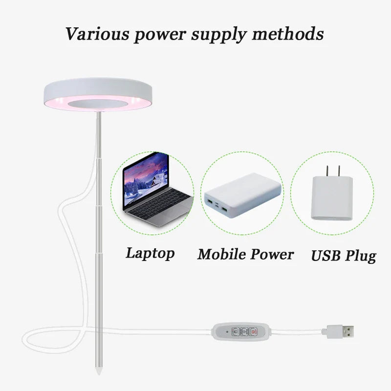 Full Spectrum Indoor Solar LED Growth Light - Four Gear Dimming for Fleshy Plants, Flower & Floor Telescopic Fill Light