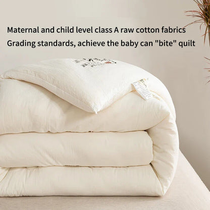 Raw Cotton Soybean Quilt – Thickened Spring, Autumn & Winter Bedding for Extra Warmth