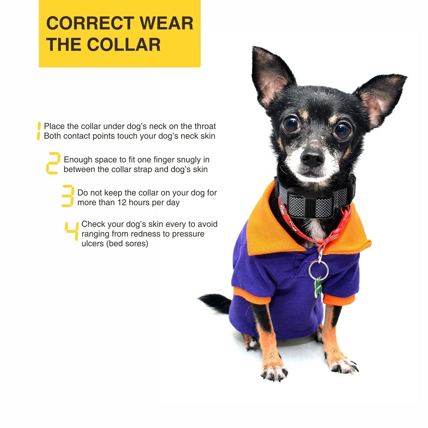 Rechargeable Anti-Bark Training Collar for Small Dogs 5–15 lbs – Ultra-Light Electric Behavior Correction Dog Collar
