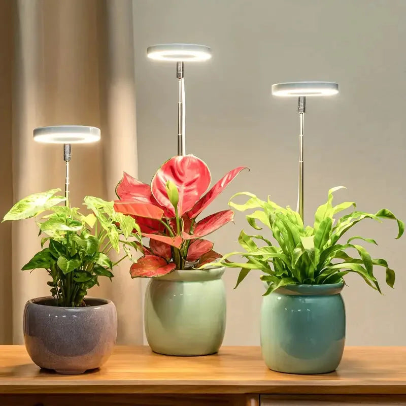LED Full Spectrum Grow Light – Adjustable Dimmable Hydroponic Plant Lamp with Timer for Indoor Gardening