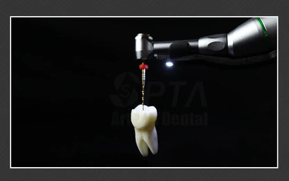 SPTA Cordless Dental Endo Motor – LED 16:1 Contra Angle with Reduction Head for Low-Speed Endodontic Treatment