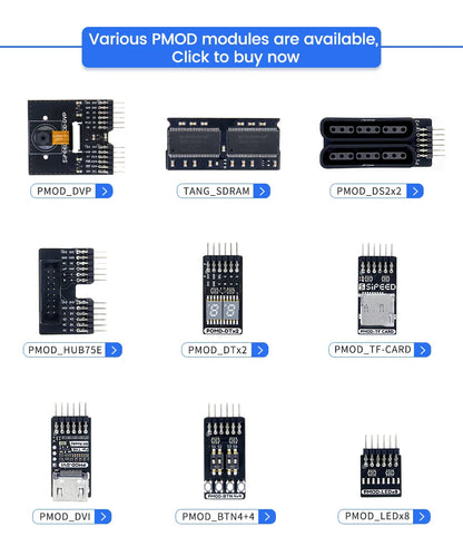 Sipeed Tang Primer 20K FPGA GoAI Core Board - GW2A Minimum System for AI Projects