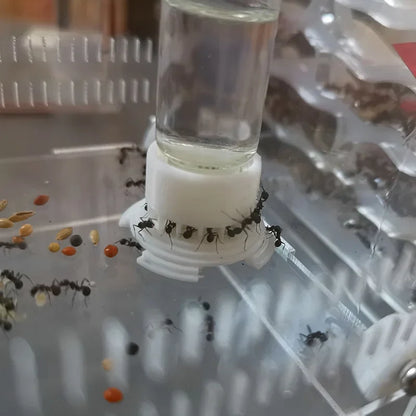 5-40ml Ant Farm Water Tower & Anthill Water Bowl Ant Nest Drinker Feeder for Ant House