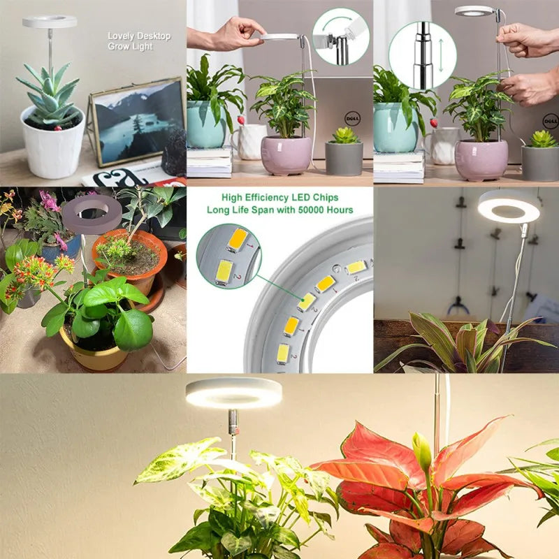 Premium Indoor Solar LED Growth Light: Full Spectrum with Four Gear Dimming - Ideal for Fleshy Plants, Flowers, and Telescopic Fill Light for Floors