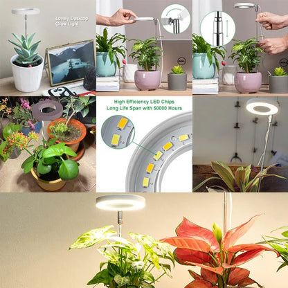 Premium Indoor Solar LED Growth Light: Full Spectrum with Four Gear Dimming - Ideal for Fleshy Plants, Flowers, and Telescopic Fill Light for Floors