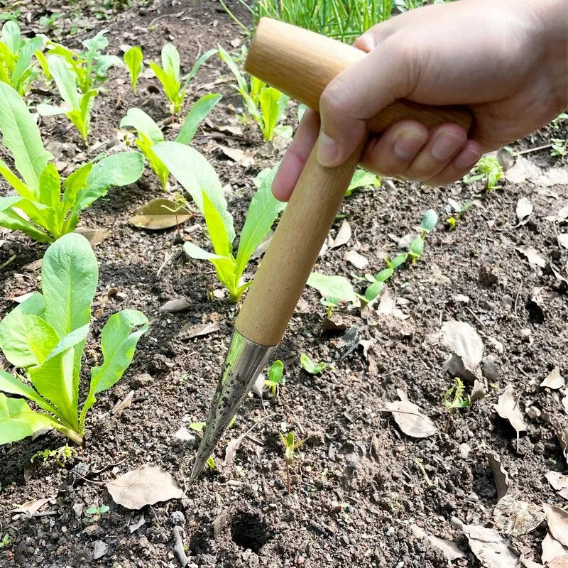 Hand Sow Dibbler with Wood Handle - Seed Sowing and Transplanting Tool for Planting Bulbs and Digging in Gardens