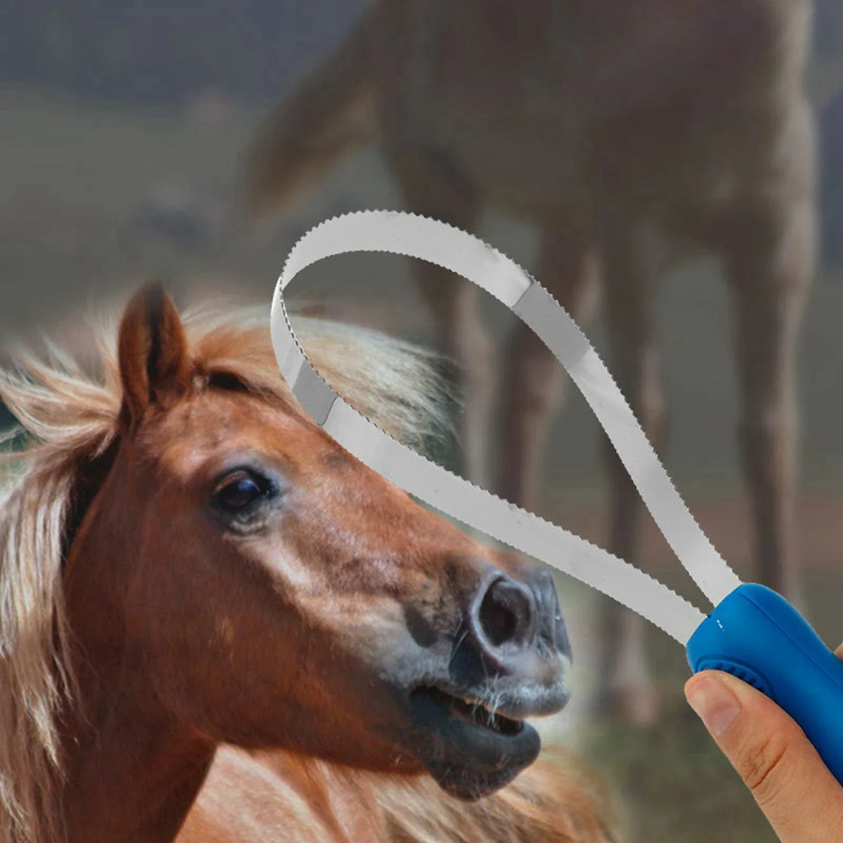 Horse Grooming Curry Comb - Non Slip Equestrian Brush & Sweat Scraper For Horses, Cattle and Dogs