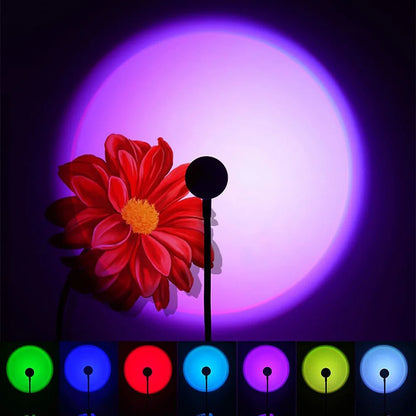 49319724646707