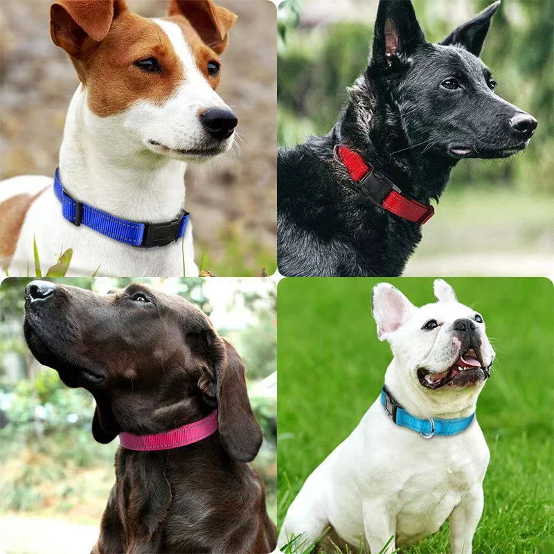 Reflective Dog Collar – Soft Neoprene Padded Nylon, Adjustable & Sturdy for Medium and Large Dogs