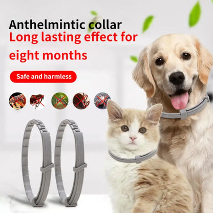 Dog & Cat Anti-Flea and Tick Collar – 8-Month Protection – Adjustable Pet Collar for Puppies, Cats, and Large Dogs