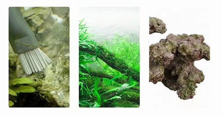 Aquapro Algae Brush – Stainless Steel Aquarium Cleaning Tool for Fish Tank & Plant Care, ADA Quality